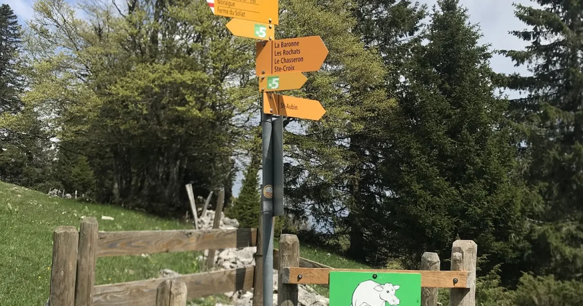 Roaring Brook Nature Center Trail