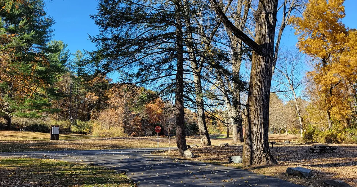Robinson State Park Trail