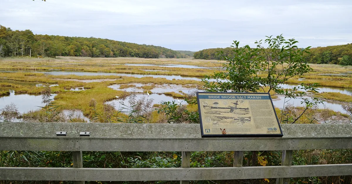 Rocky Neck State Park Trail
