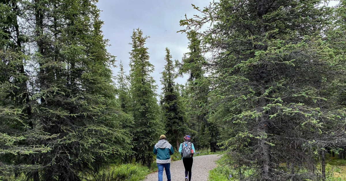 Savage Alpine Trail Denali