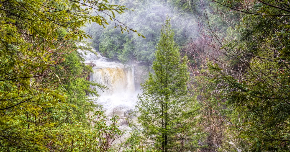 Savage Gulf Trail — South Cumberland SP, TN