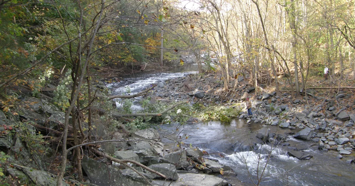 Savage Mill Trail — Patuxent Branch