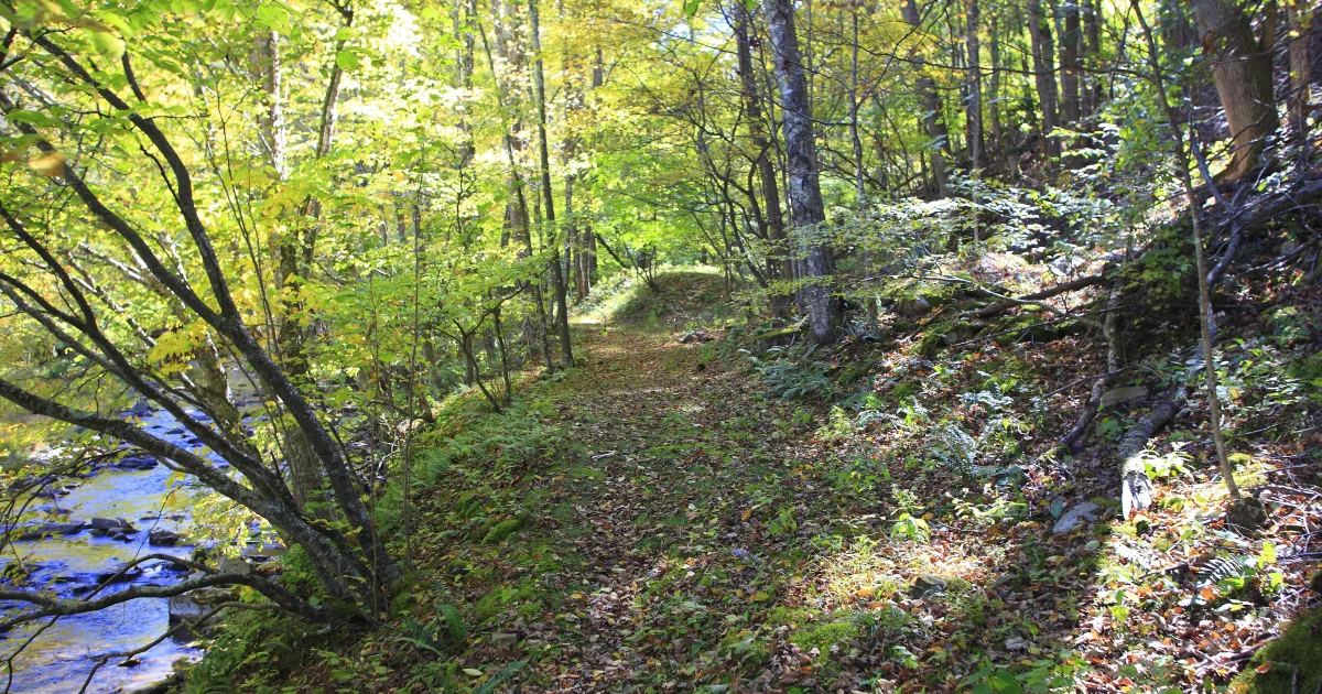 Seneca Creek State Park Bike Loop