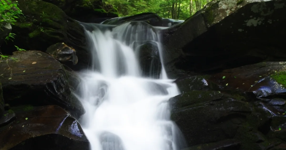 Seneca Creek Trail