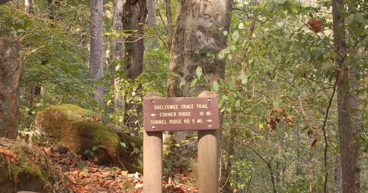 Sheltowee Trace — Yahoo Falls