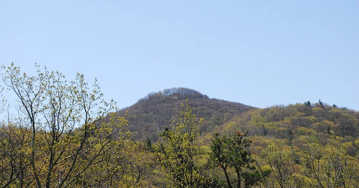 Shenandoah Mountain Trail — Harrisonburg, Virginia