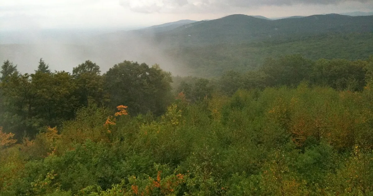 Shenipsit State Forest Trail