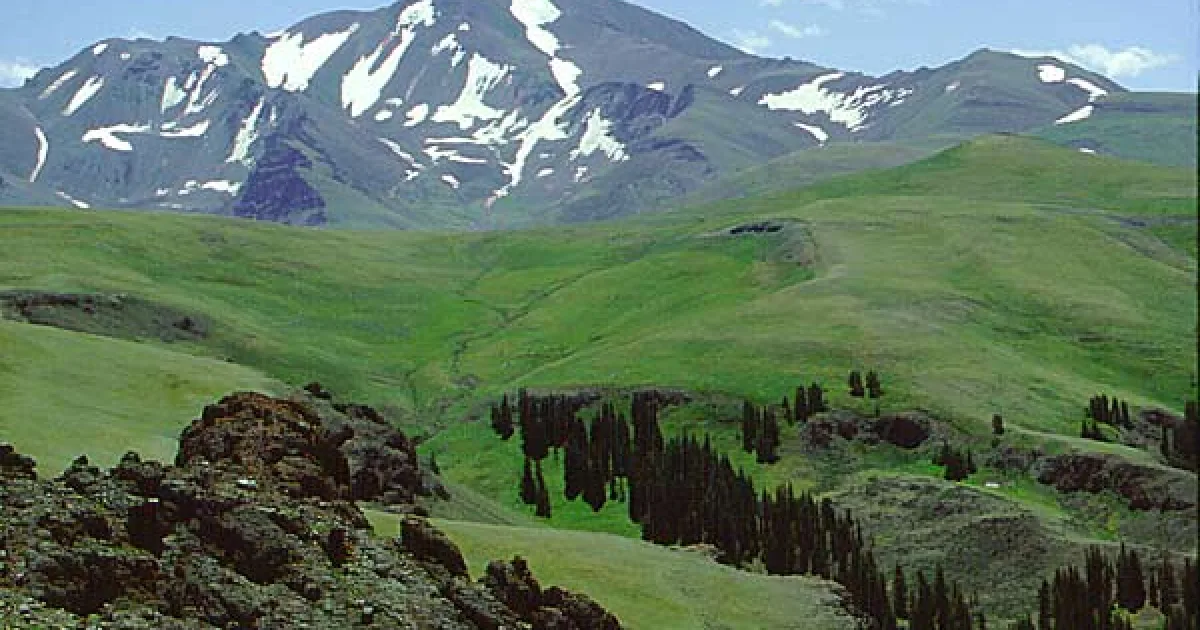 Shoshone National Forest Trail