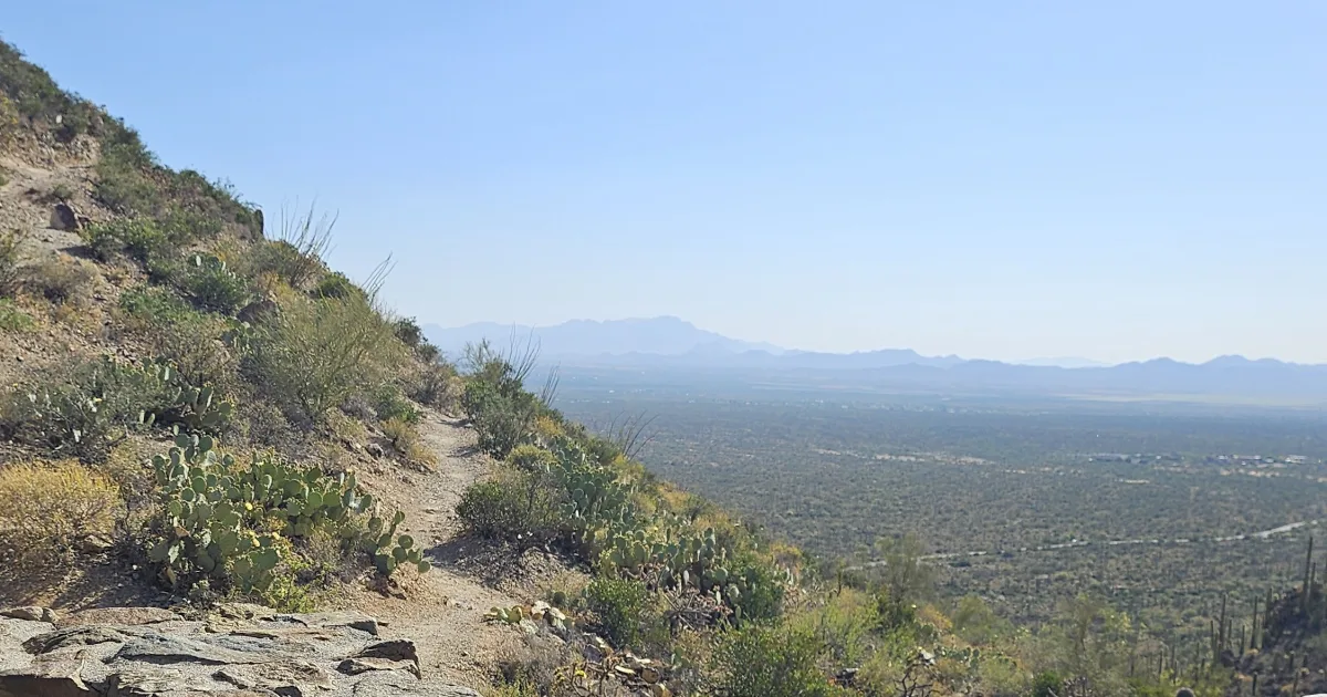 Signal Hill Petroglyphs