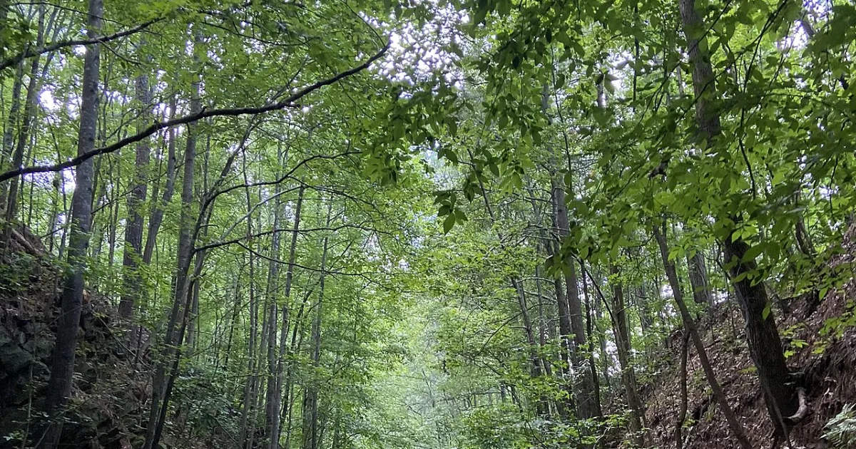 Silver Comet Trail – West End — Silver Comet Trail, GA