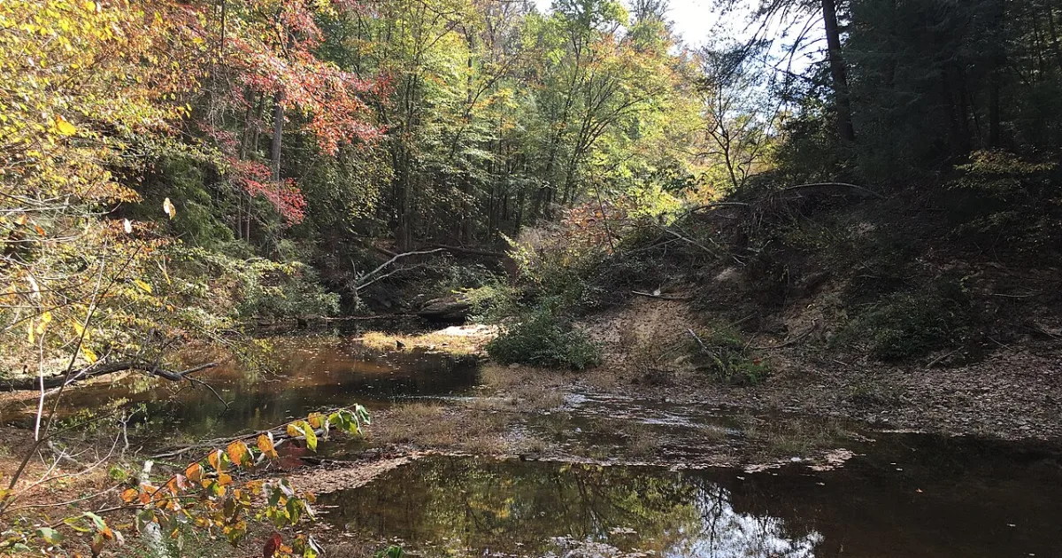 Sipsey Wilderness Trail