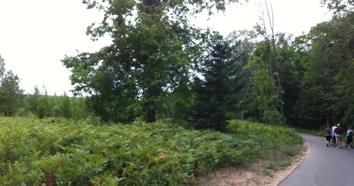Sleeping Bear — Pyramid Point Trail