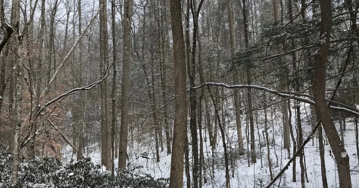 Smoky Bridge Trail