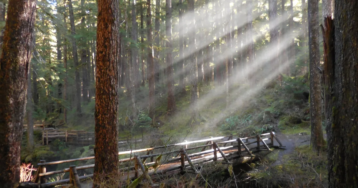 Sol Duc Falls: Olympic Peninsula's Most Beautiful Waterfall