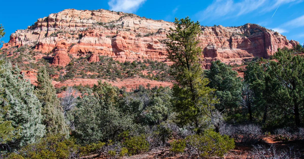 Soldier Pass Trail