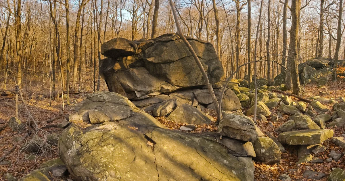 Sourland Mountain Preserve Trail