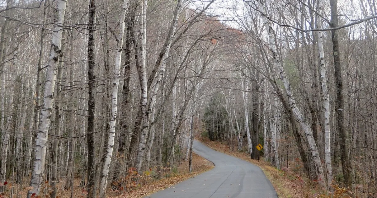South Baldface Circle Trail