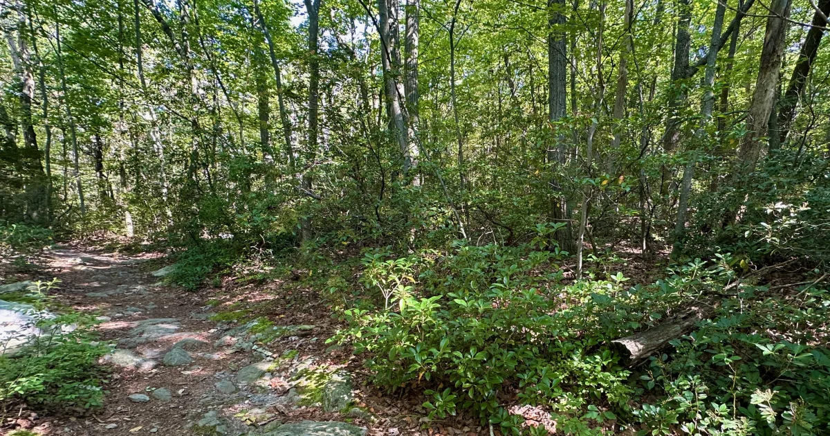 South Mountains State Park MTB — South Mountains SP, NC