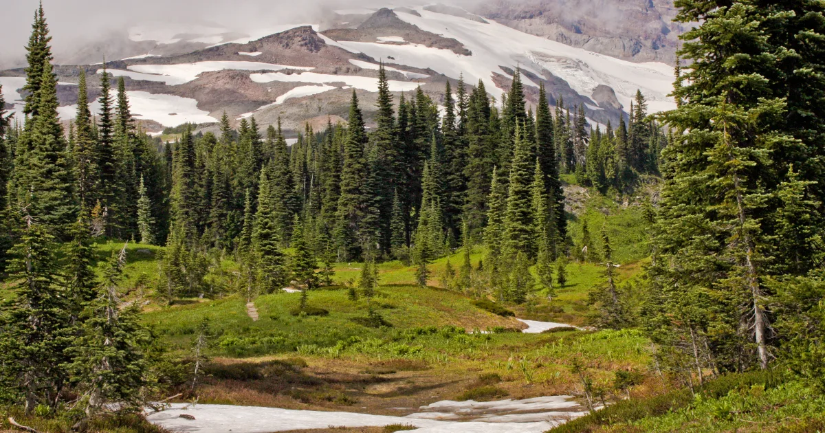 South Sister Summit Trail — Oregon Cascades