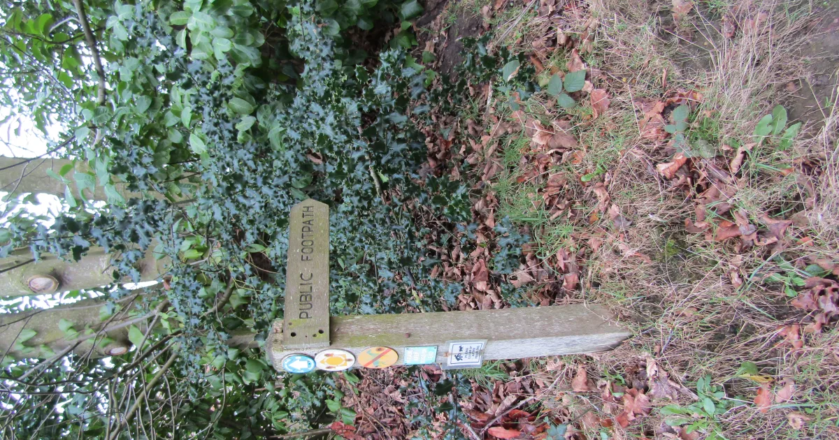 Sowams Heritage Area Trail