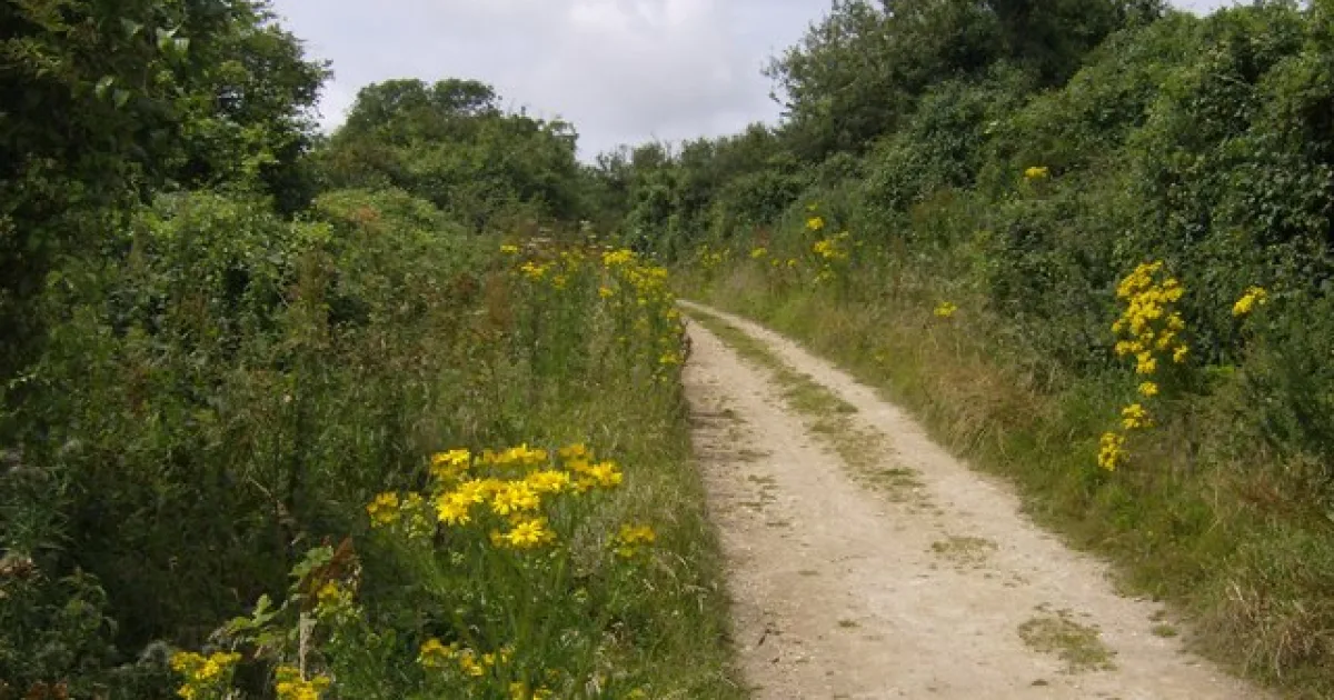 Spine Trail