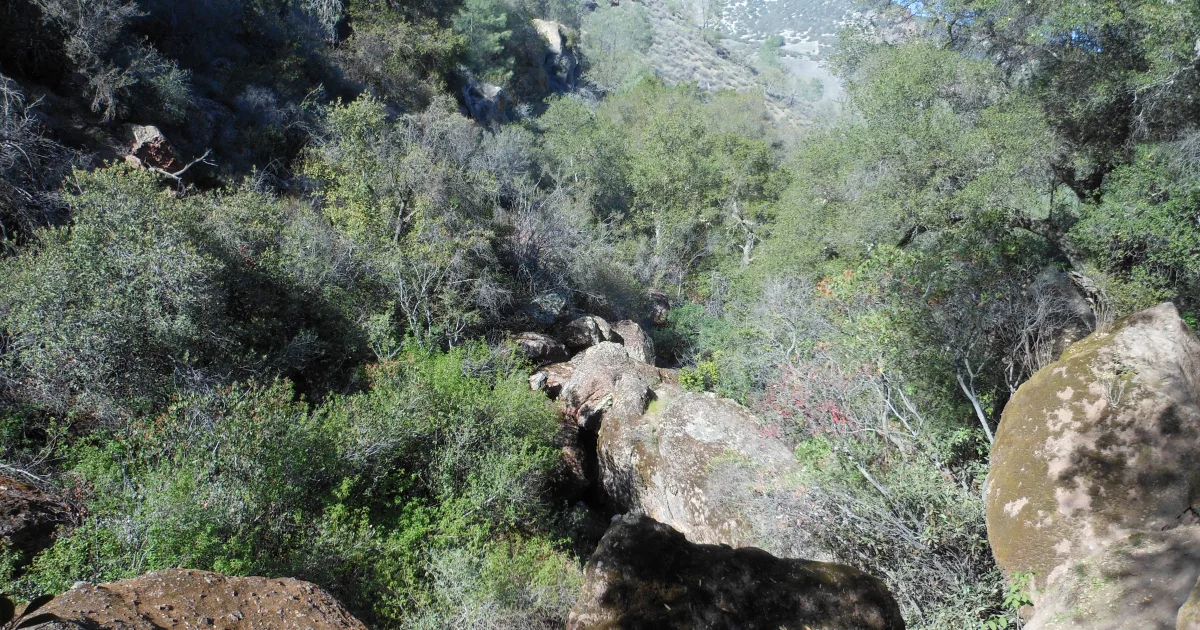 Bear Caves Trail