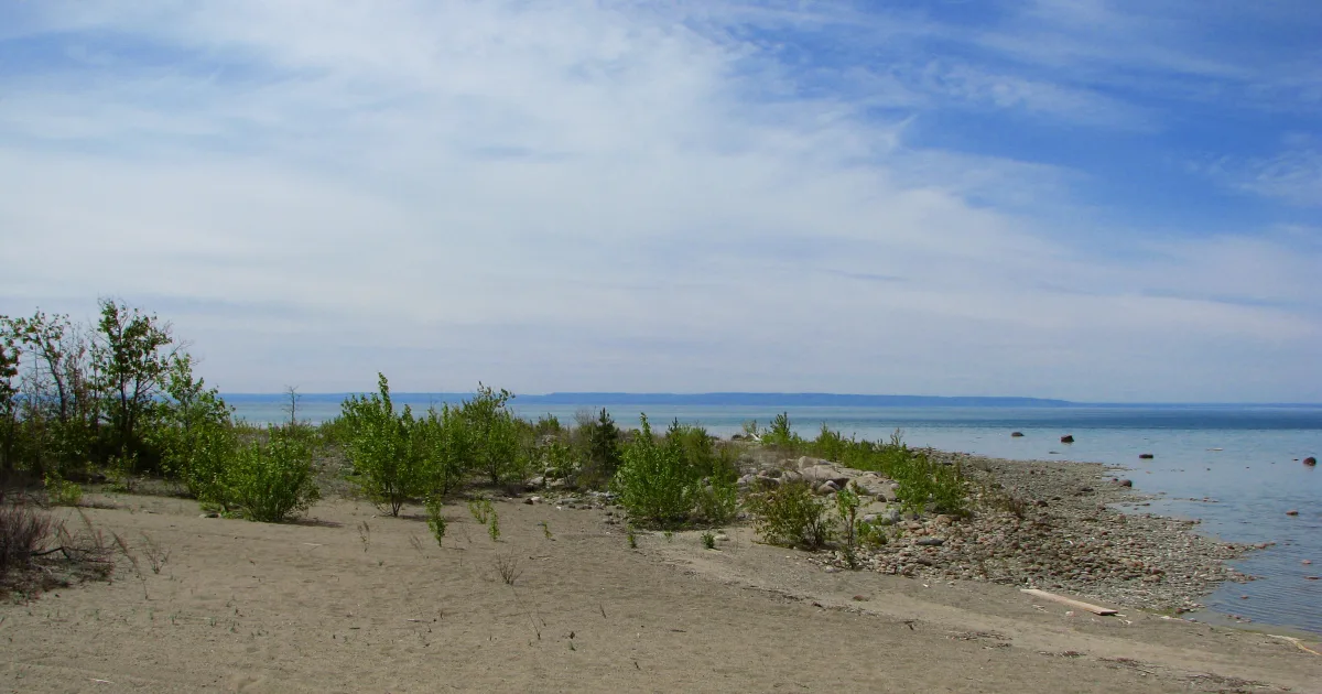 Cove Beach Trail