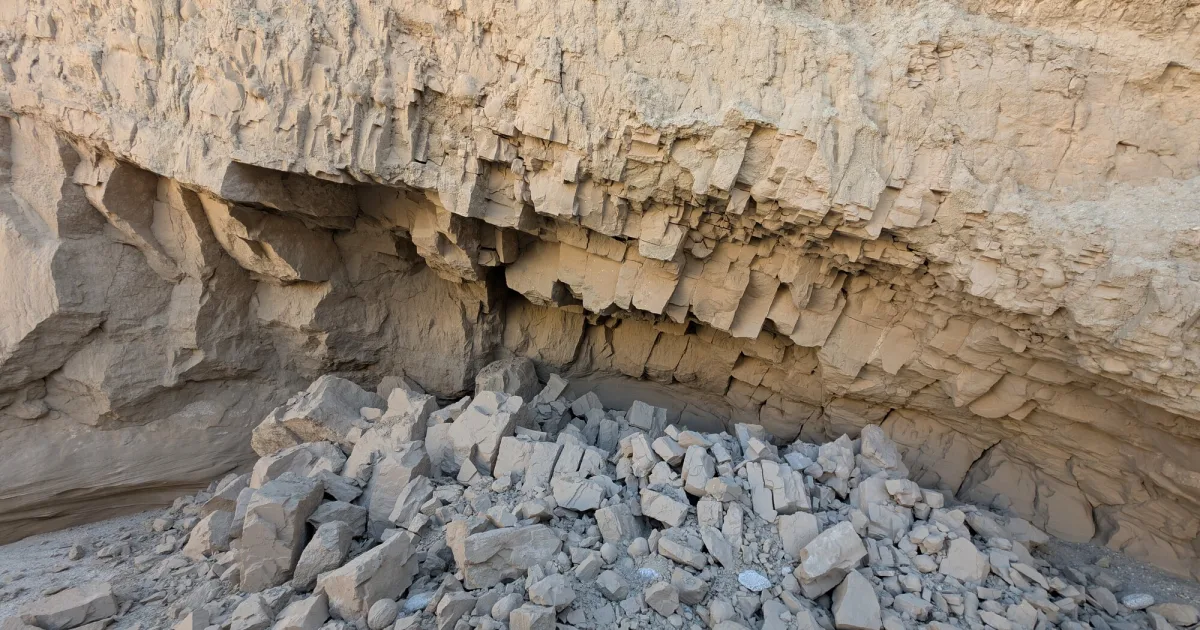Borrego Palm Canyon Trail