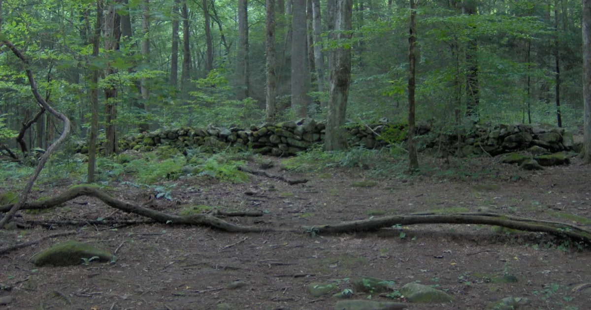 Tennessee Rock Trail
