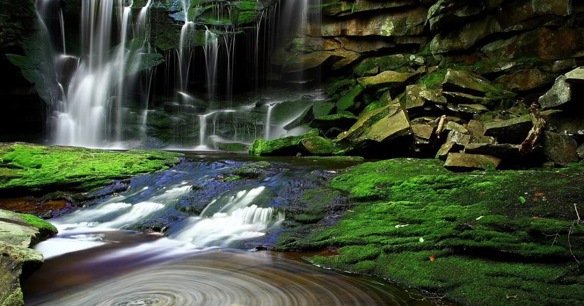 Elakala Falls Trail