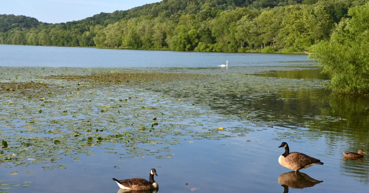 Ogle Lake Nature Preserve