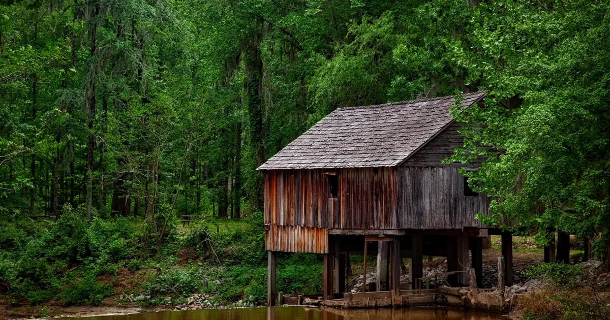 Saw Mill Pond Loop