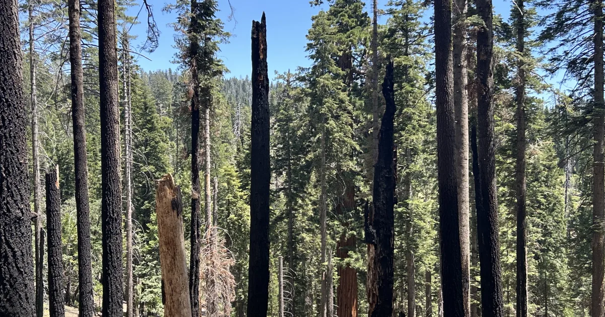 North Grove Trail