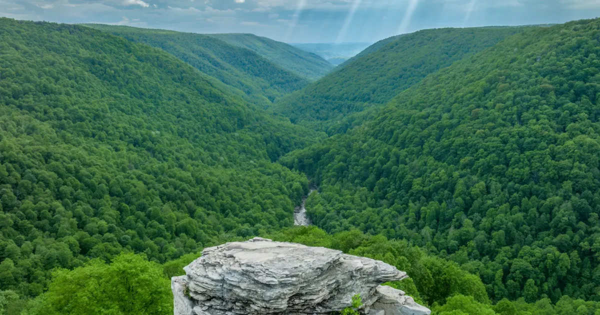 Lindy Run Trail