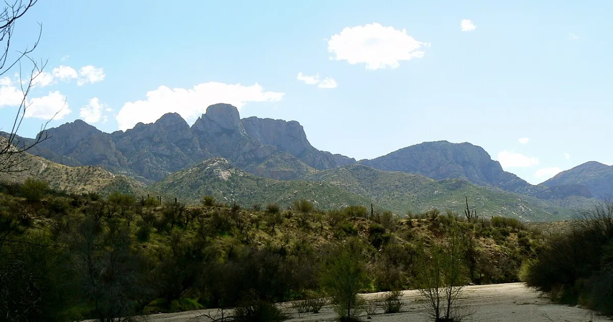 Birding Area Loop