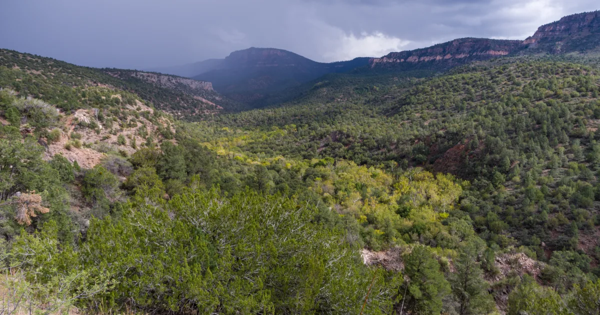 Dam Rim Trail
