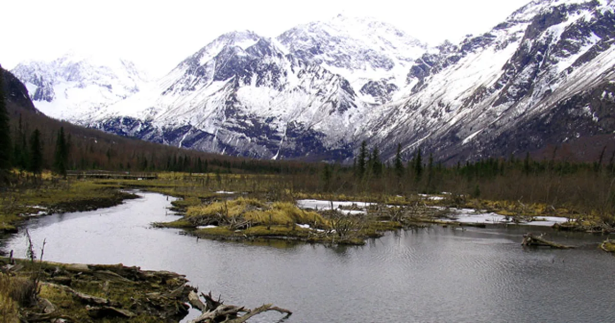 Eagle River Nature Center Trail