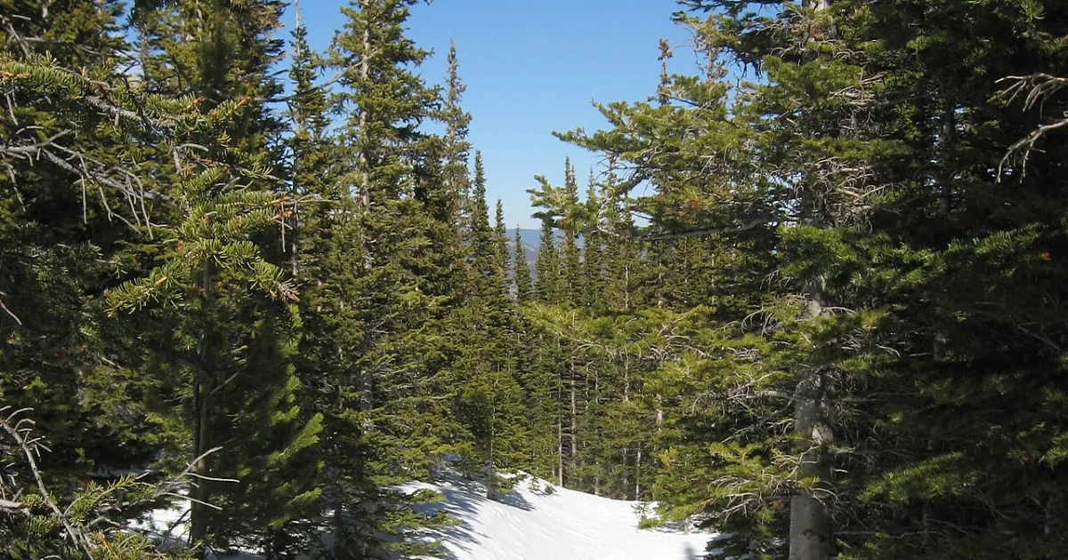 Flattop Mountain Trail