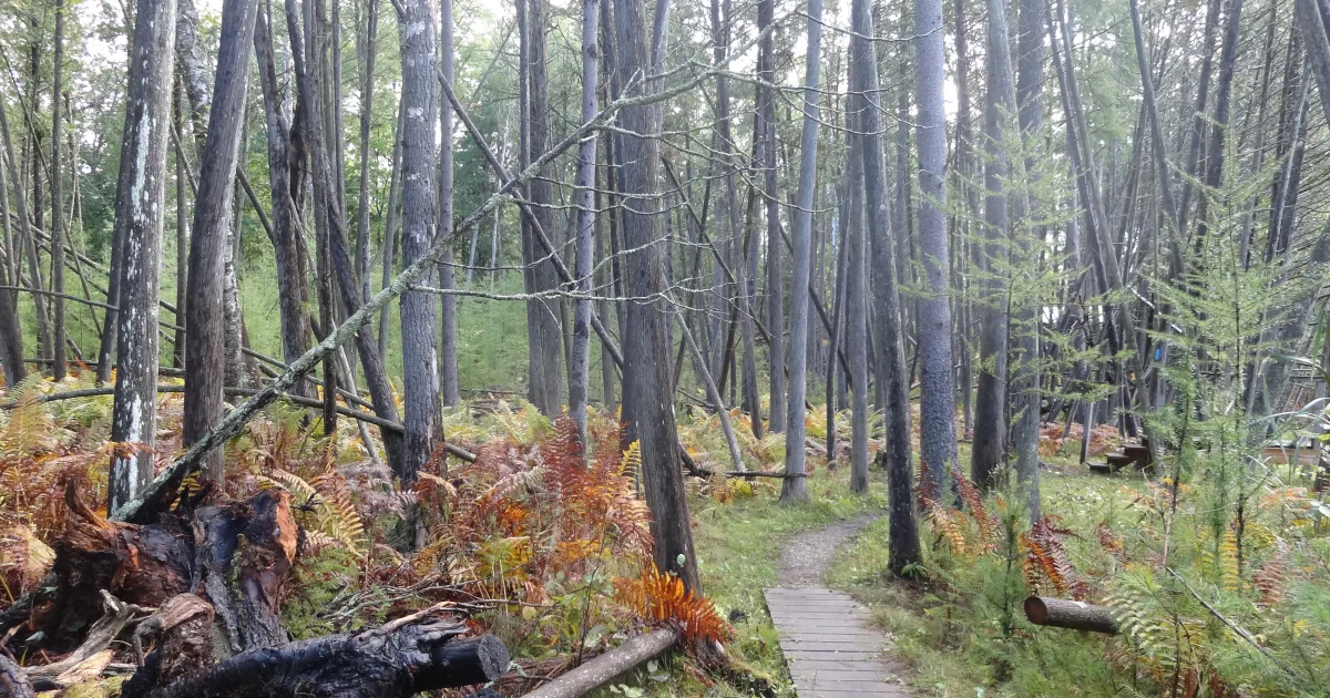 North Scenic Trail