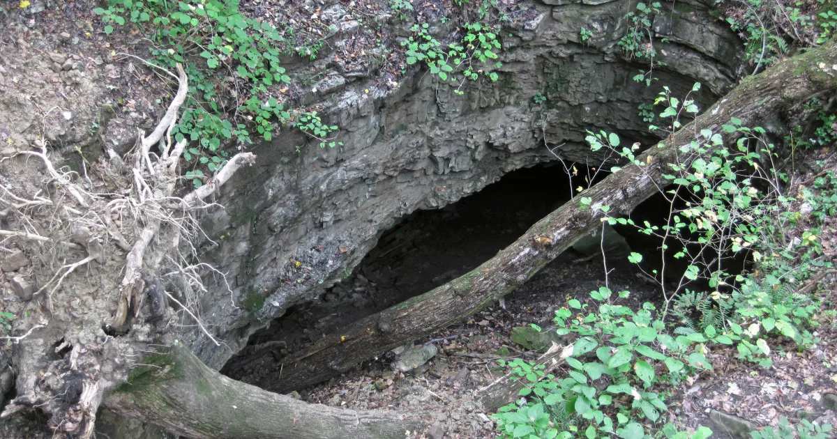 Trail 7 - Big Clifty