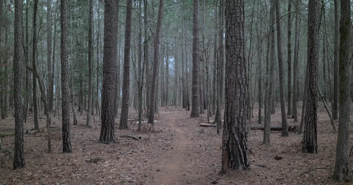 Bockman Trail
