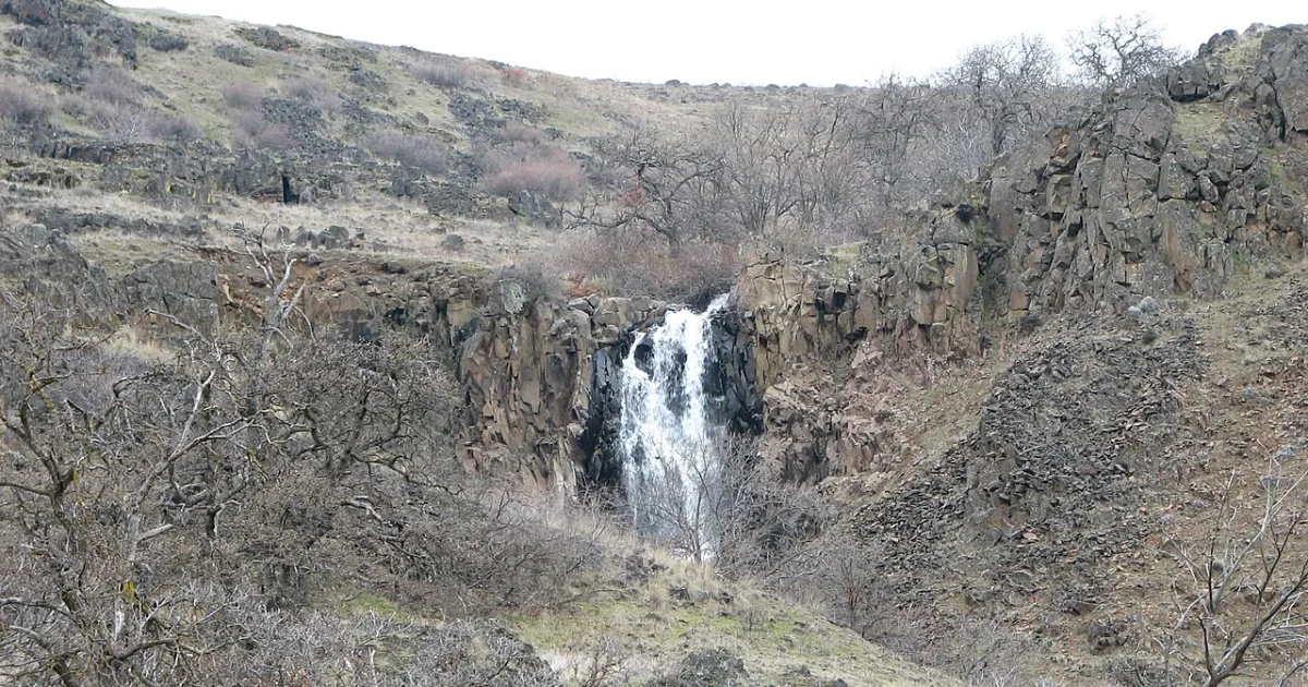Petroglyph Interpretive Tour