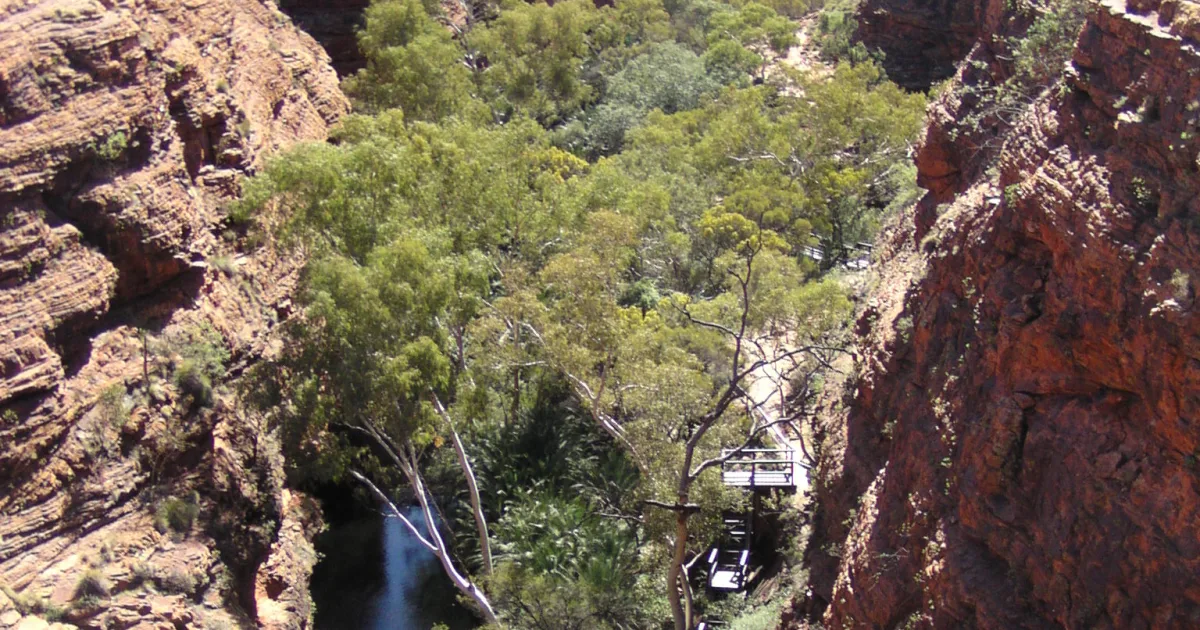 Canyon Rim Boardwalk