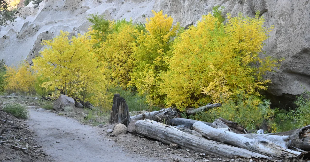 Yellow Rock Trail