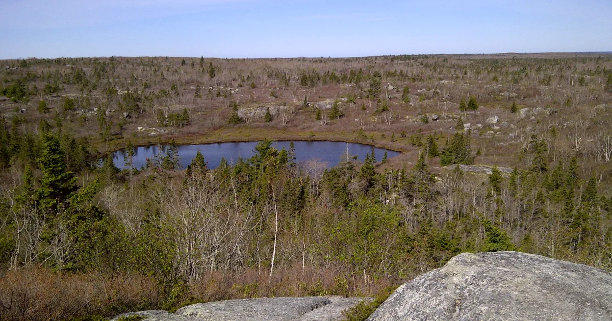 West Bluff Trail