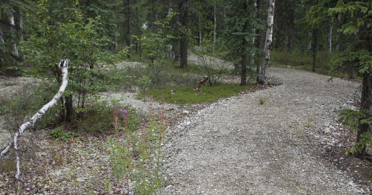 Visitor Center Nature Walk