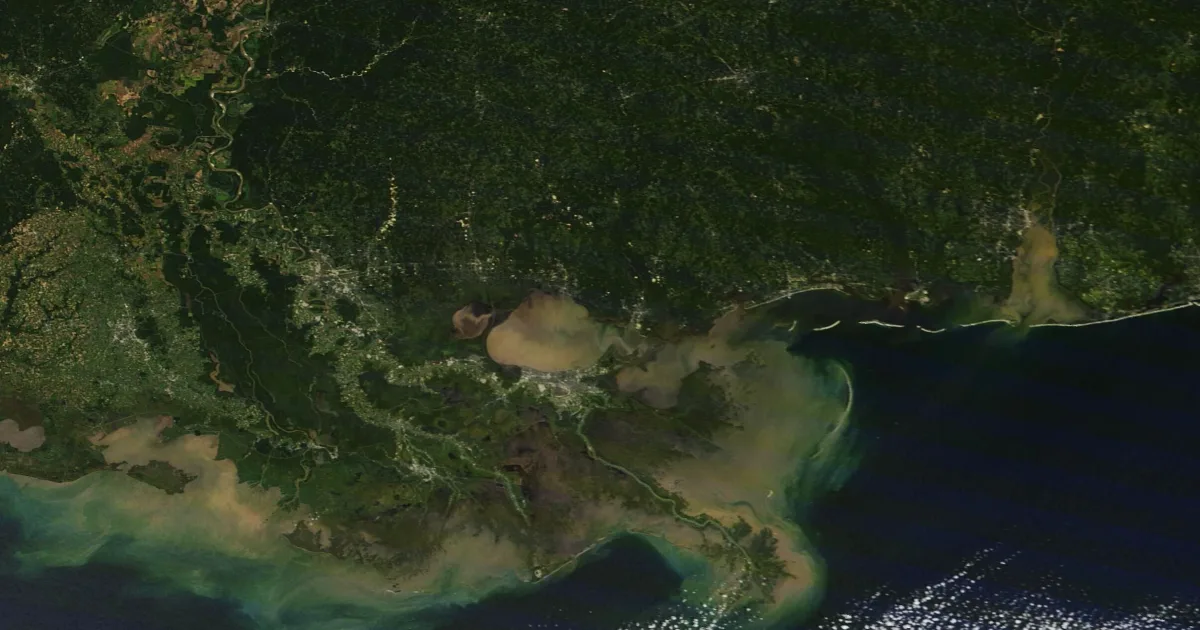 Lake Pontchartrain Shoreline