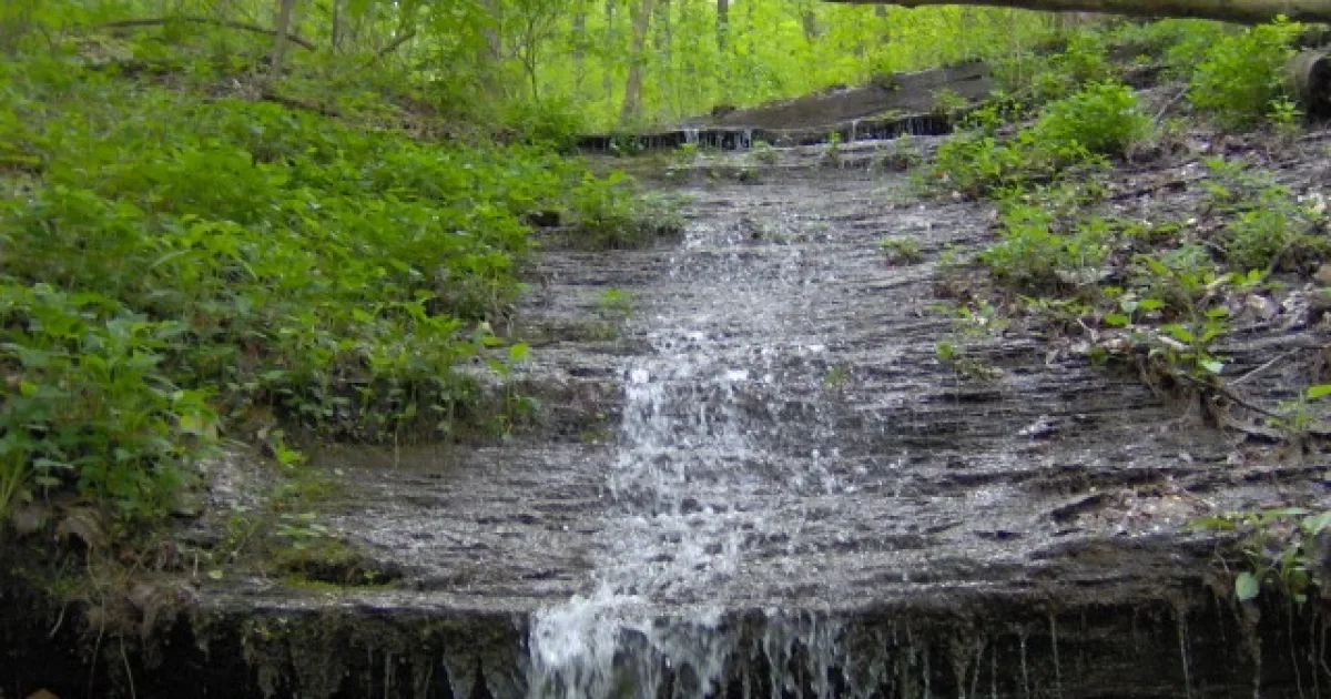 North Old Mac Mountain Trail