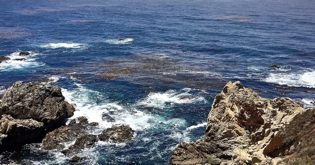 Soberanes Point Bluff Walk