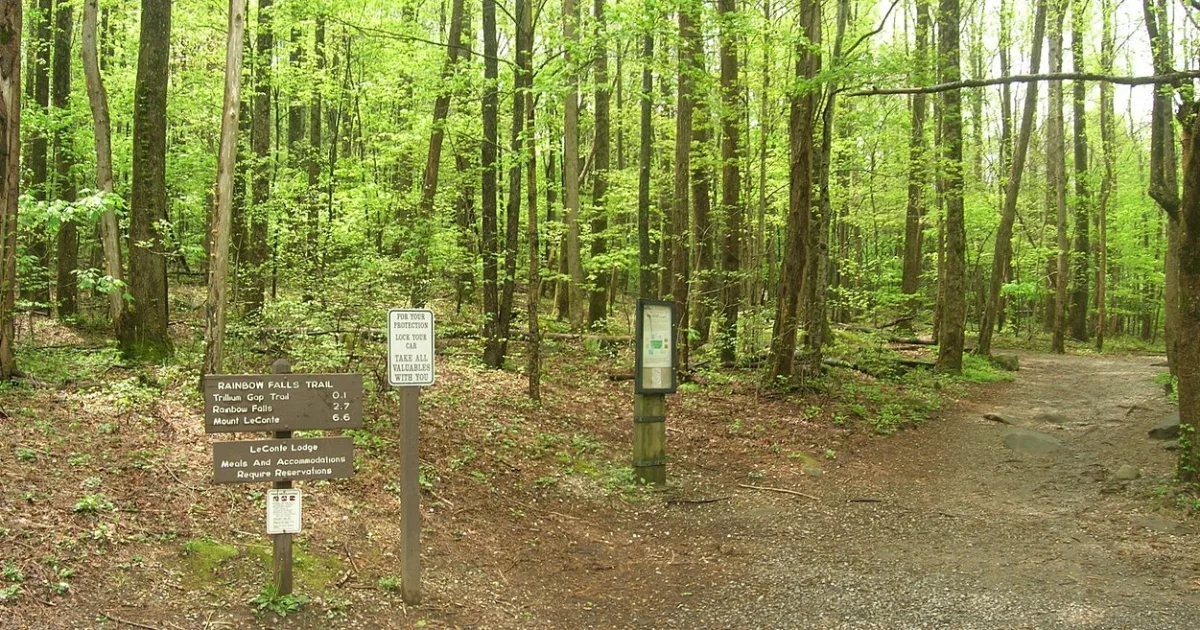 Rainbow Falls Trail